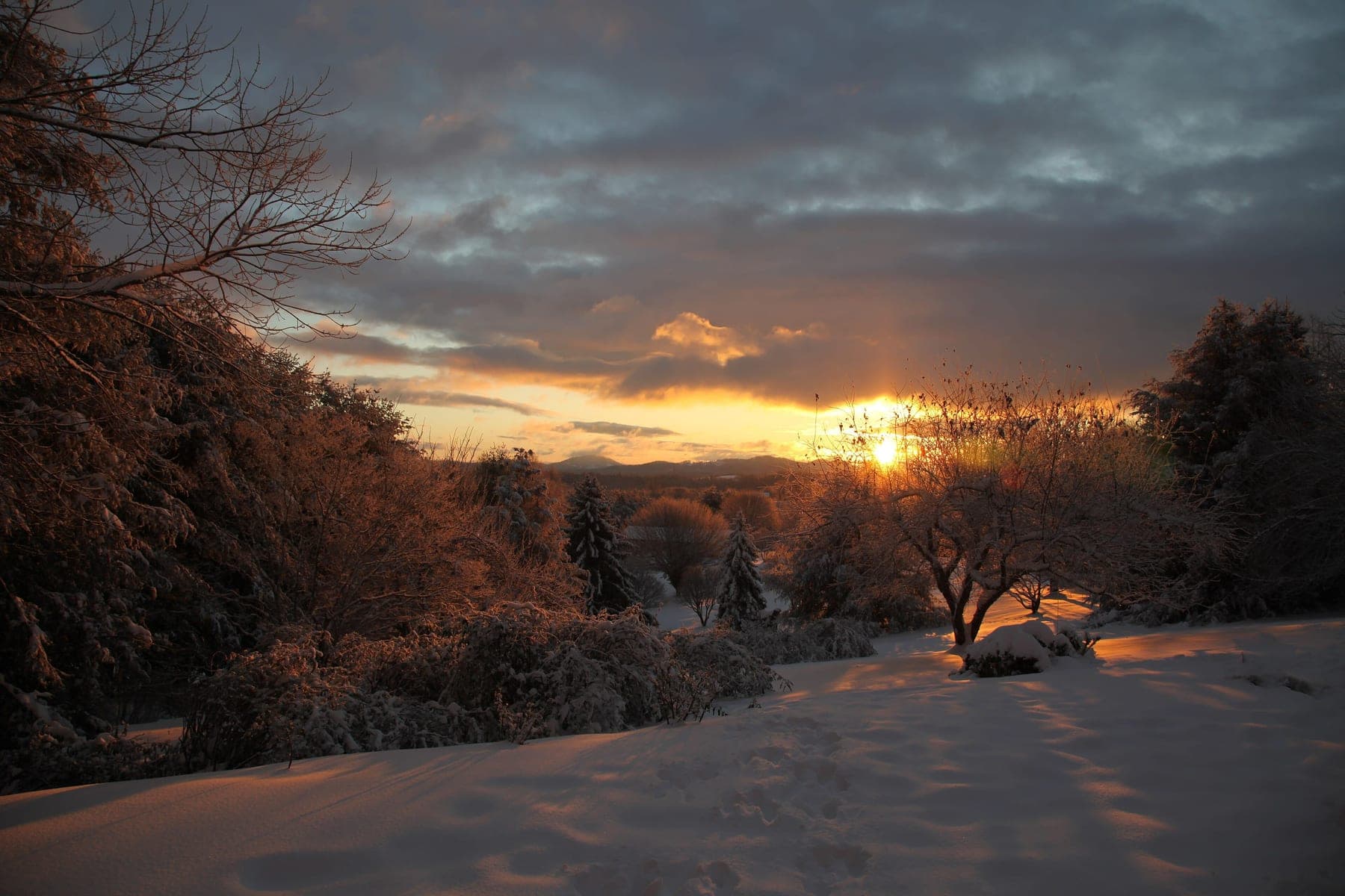 Sunrise over a snow-covered field and treeline in Mills River, North Carolina, with mountains on the horizon